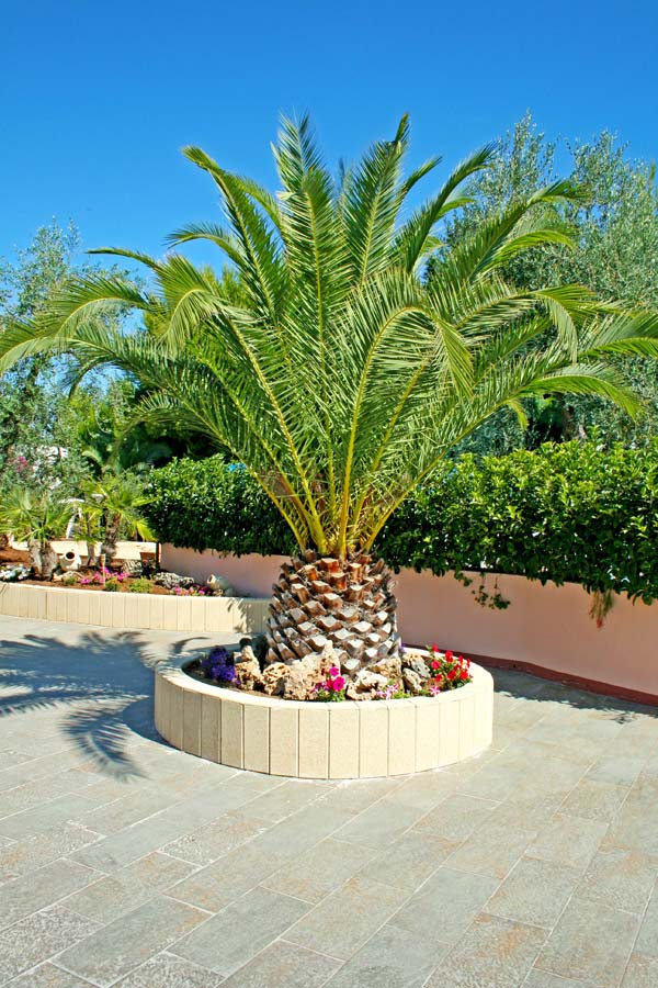 central vegetation