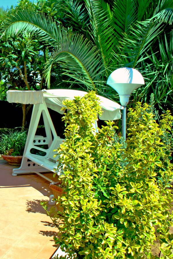 swing with plants