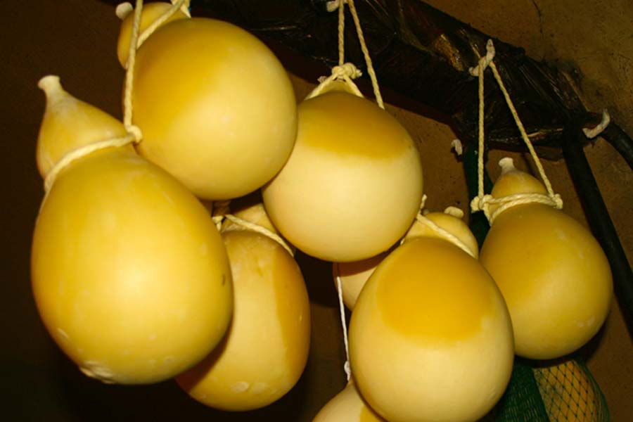 garganic podolic caciocavallo