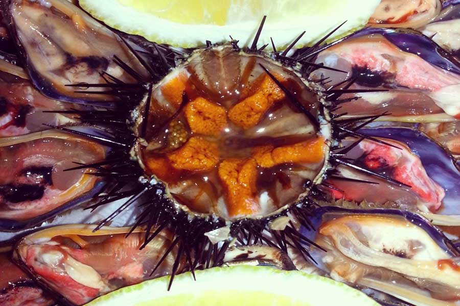 sea fruits garganic